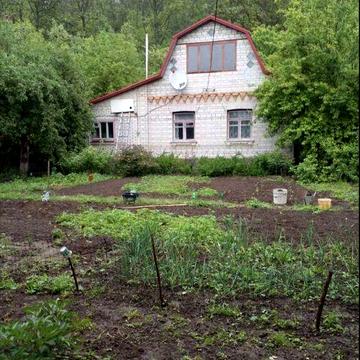Продам дачу в Трипіллі Обухівський р-н Київська область.