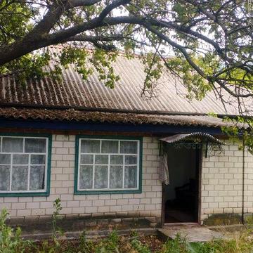 Здам хату біля соснового лісу, с. Новоселівка, Царичанский район.