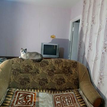Івана Дзюби вул. (Сімї Сосніних), 12-А