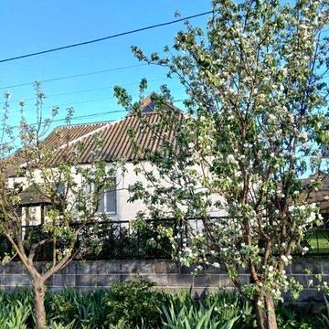 Продам будинок в центрі міста Апостолове