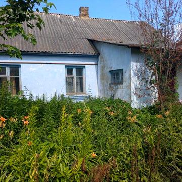 Продам будинок та земельну ділянку