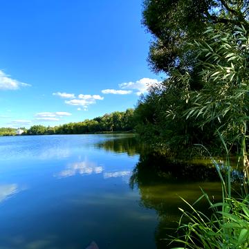 Бакали, Білоцерківський, Київська область 8000.0 USD