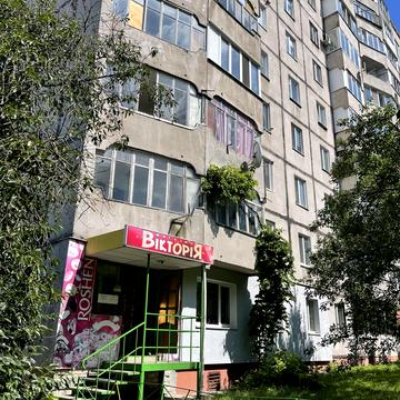Князя Володимира вул., 36
