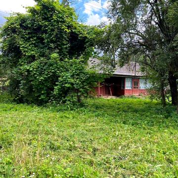 Будинок та земельна ділянка поблизу лісу с. Кобло, Самбірський район