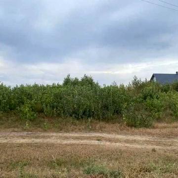 Визволителів вул.
