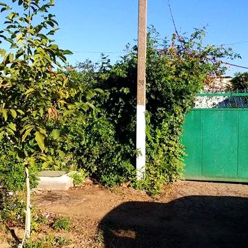 Продам дом в с. Бритовка