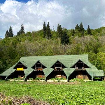 Продаж котеджу у Карпатах із дерев’яного зрубу