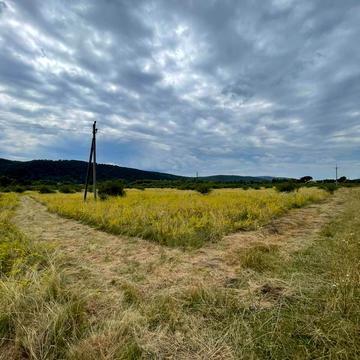 Невицьке, Ужгородський, Закарпатська область 200000.0 USD