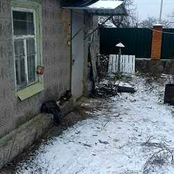 Срочно Продам дом с постройками