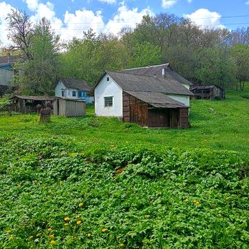 Здається будинок в оренду