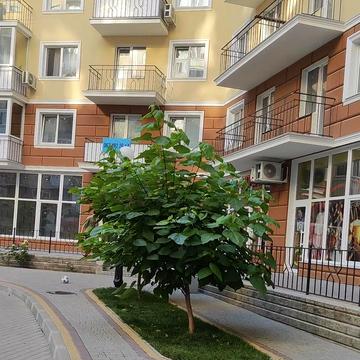 Люстдорфська дорога вул., 100з