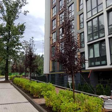 3к квартира, Ірпінь, вул. Лисенка
