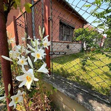 Продається будинок, поруч м.Берегово, термальні басейни