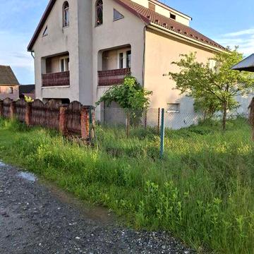 Продаються два будинки + 3 га землі в Карпатах
