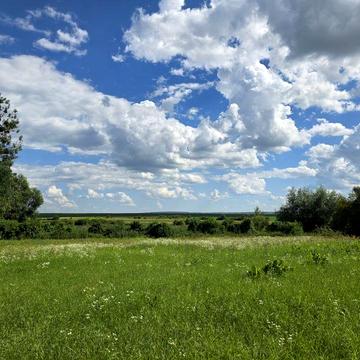Будинок з землею в селі Жуличі, Золочівського району, Львівської обл.
