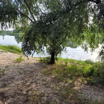 Продам дачу в Садовому Товаристві ДНІПРО