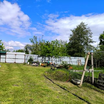 Федора Кричевського