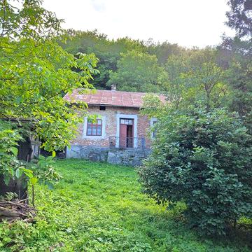 Дачний будинок с. Гологірки. Потребує незначного ремонту.