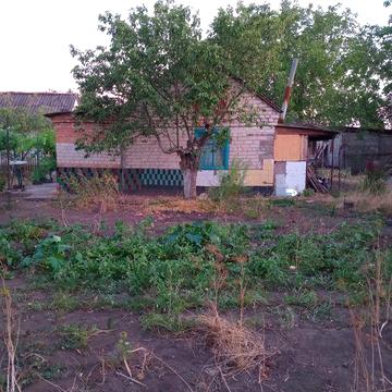 Продається дача в садовому товаристві Айстра