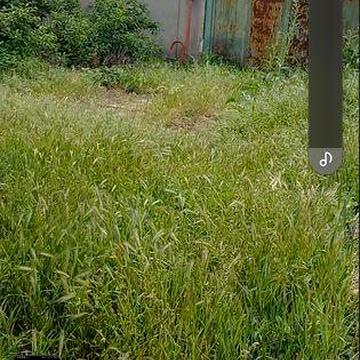 Продам, здам в оренду дом вул Столярна 87