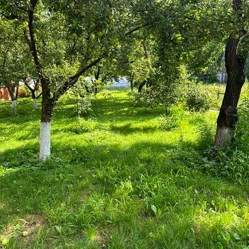 Оренда будинку біля Конча-Заспи, 174 м² простору та затишку