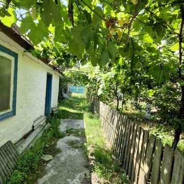 Остапа Вишні