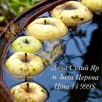 Дача Сухий Яр м. Біла Церква