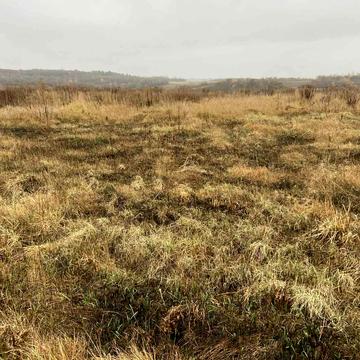 Давидів, Львівський, Львівська область 50000.0 USD