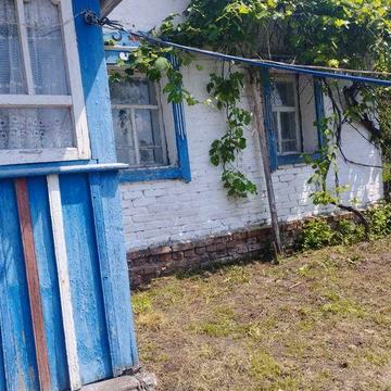 Продам будиночок в селі Дрімайлівка Чернігівської області, торг