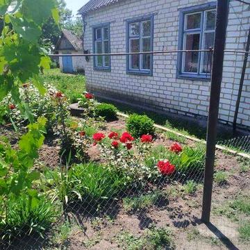 Срочно, продается дом в селе