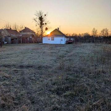 Будинок у Соколиних Горах