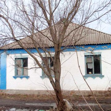 Дом с большим участком земли