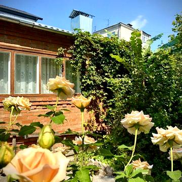 Продаж 2к Квартира Симона Петлюри вулиця