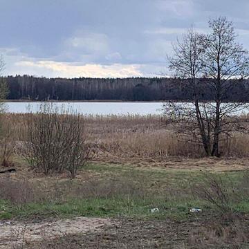 Річкова