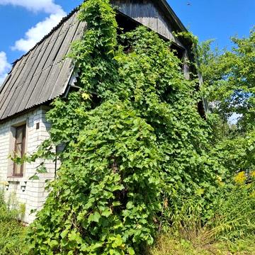 Продаж дачі в місті. Півці- заз- кільцева.