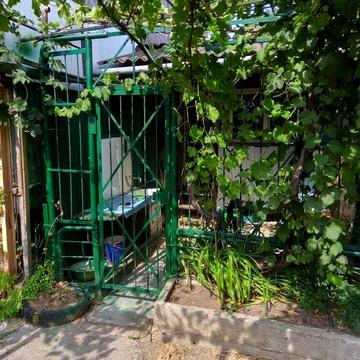 Продам дачу-курінь на березі лиману