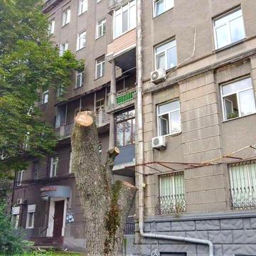 Здам без комісії 3-кімнатну у центрі на Скоропадського (Толстого), 25.