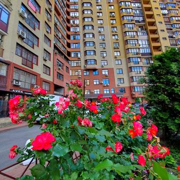 Аренда 3-х комн. Метро "Печерская". Лифт в паркинг, Генератор. Є відео