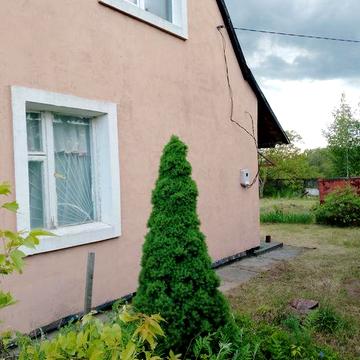 ТЕРМІНОВО Продам будинок  в селі Велика Офірна Фастівського району