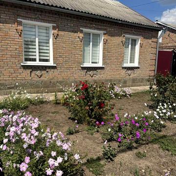 Продам будинок на Новоолексіївці