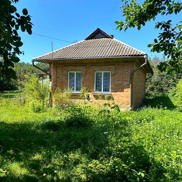 Лісова