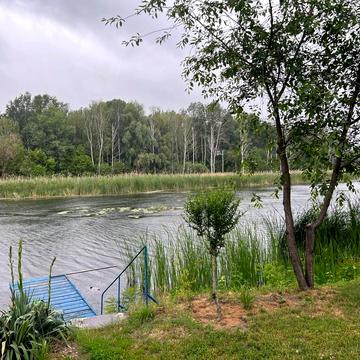 Шкільна вул., 54