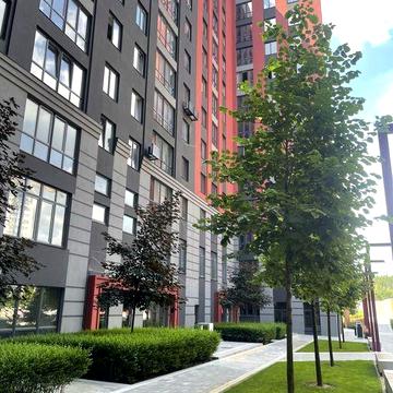 Повноцінна 1к квартира з документами, 8/12 поверх, 34000 $