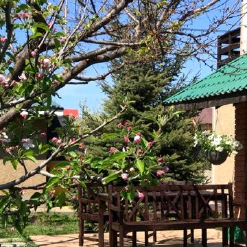 Піонерська вул., 9