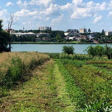 Продам будинок біля річки в м. Миронівка Обухівського району.
