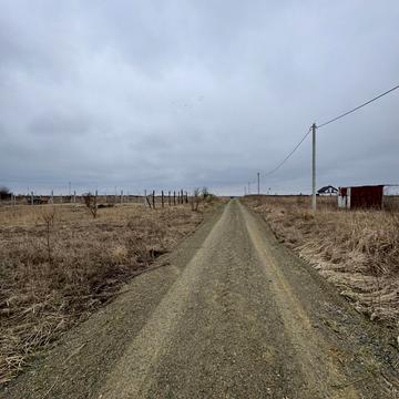 Осіння