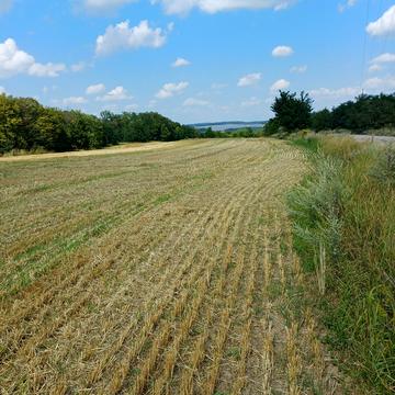 Богуслав, Обухівський, Київська область 14000.0 USD