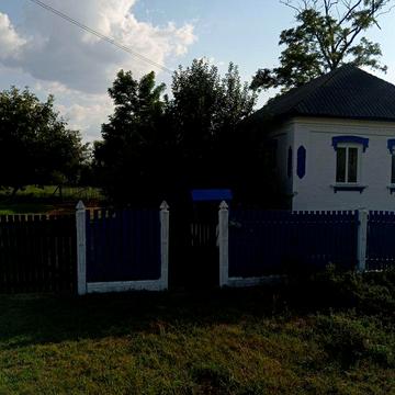 Продам будинок с. Васильків