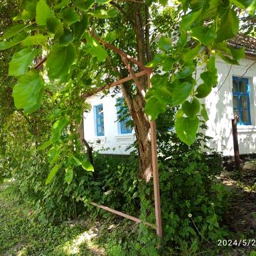 Будинок в оренду в с. Медвин, Білоцерківського р-ну  Київської області