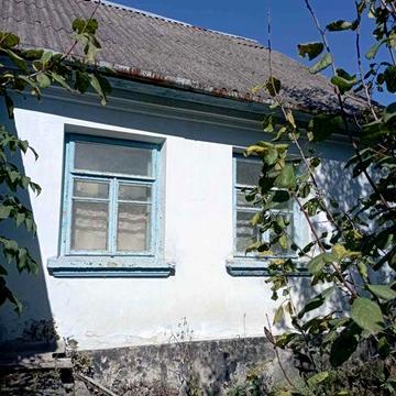 Будинок з земельною ділянкою